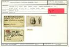 Karteikarte zum Holotyp von Cristellaria inflata Karrer, 1867